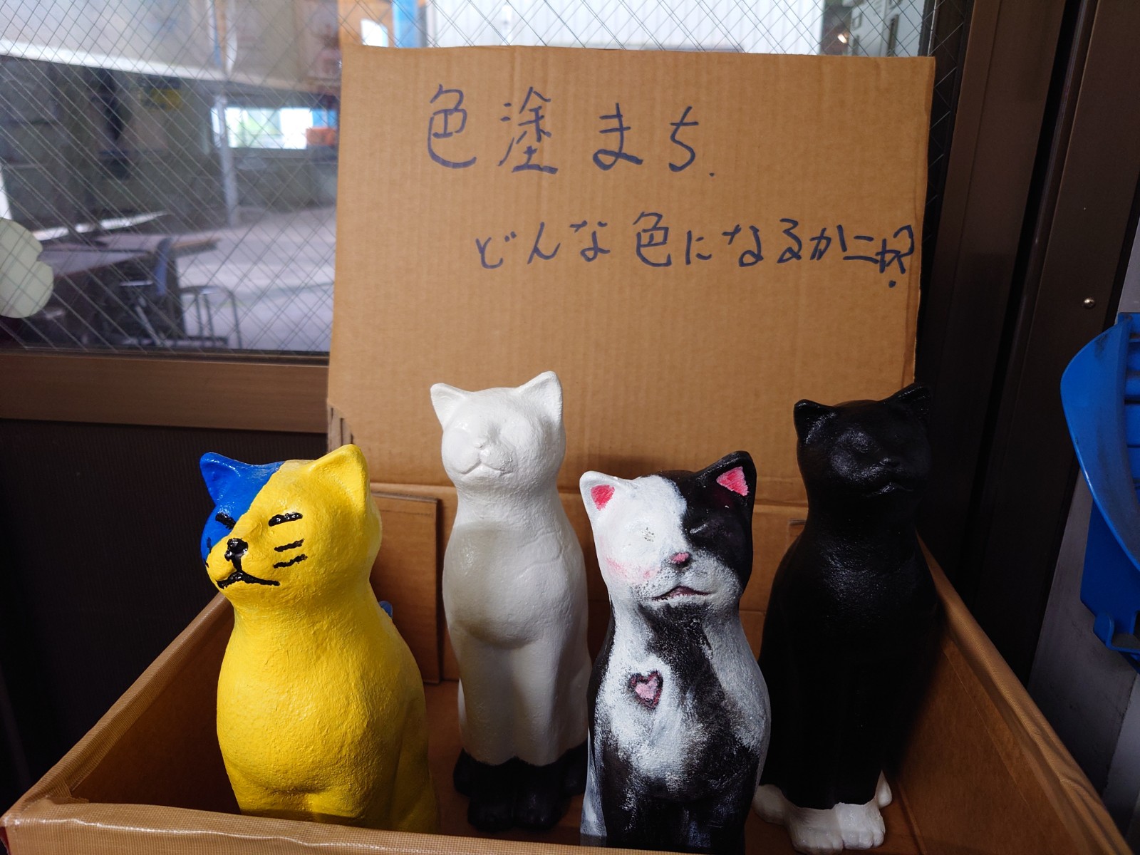 夏の学びと出会い！ 須崎総合高校様インターンシップの4日間ニャ！