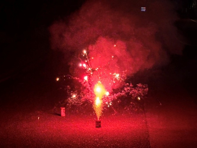 頑張る若手社員だニャ！