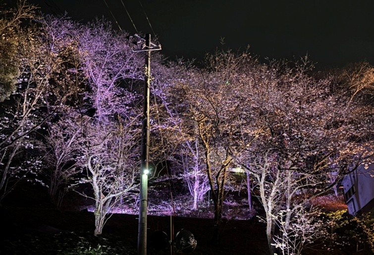 テクノ工場修繕活動ニャ！！